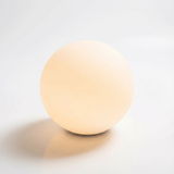 Rechargeable LED Outdoor Globe Light