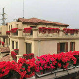 Artificial Hanging Basket with Trailing Vines