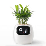 Automatic Smart Flowerpot with Emoji Display