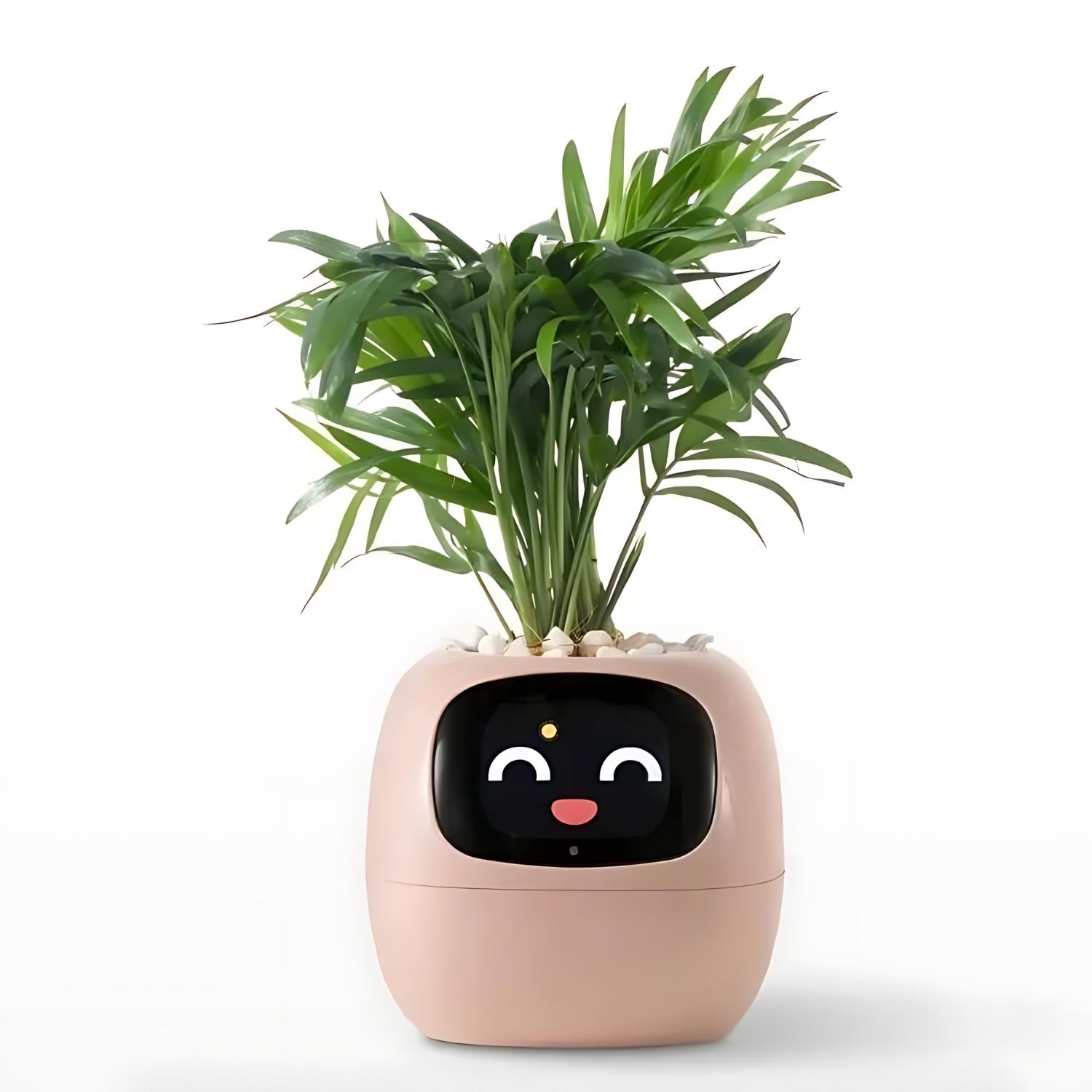Automatic Smart Flowerpot with Emoji Display