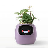 Automatic Smart Flowerpot with Emoji Display