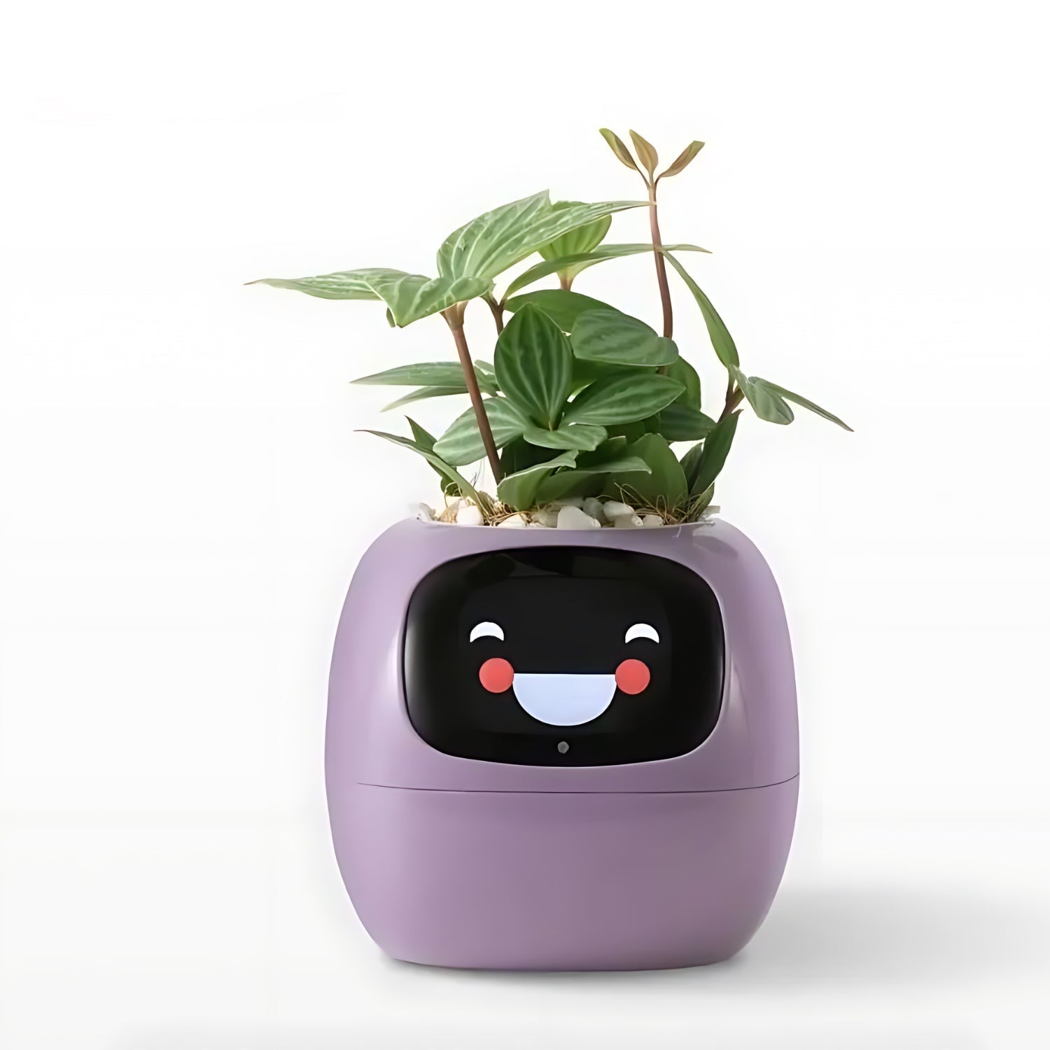 Automatic Smart Flowerpot with Emoji Display