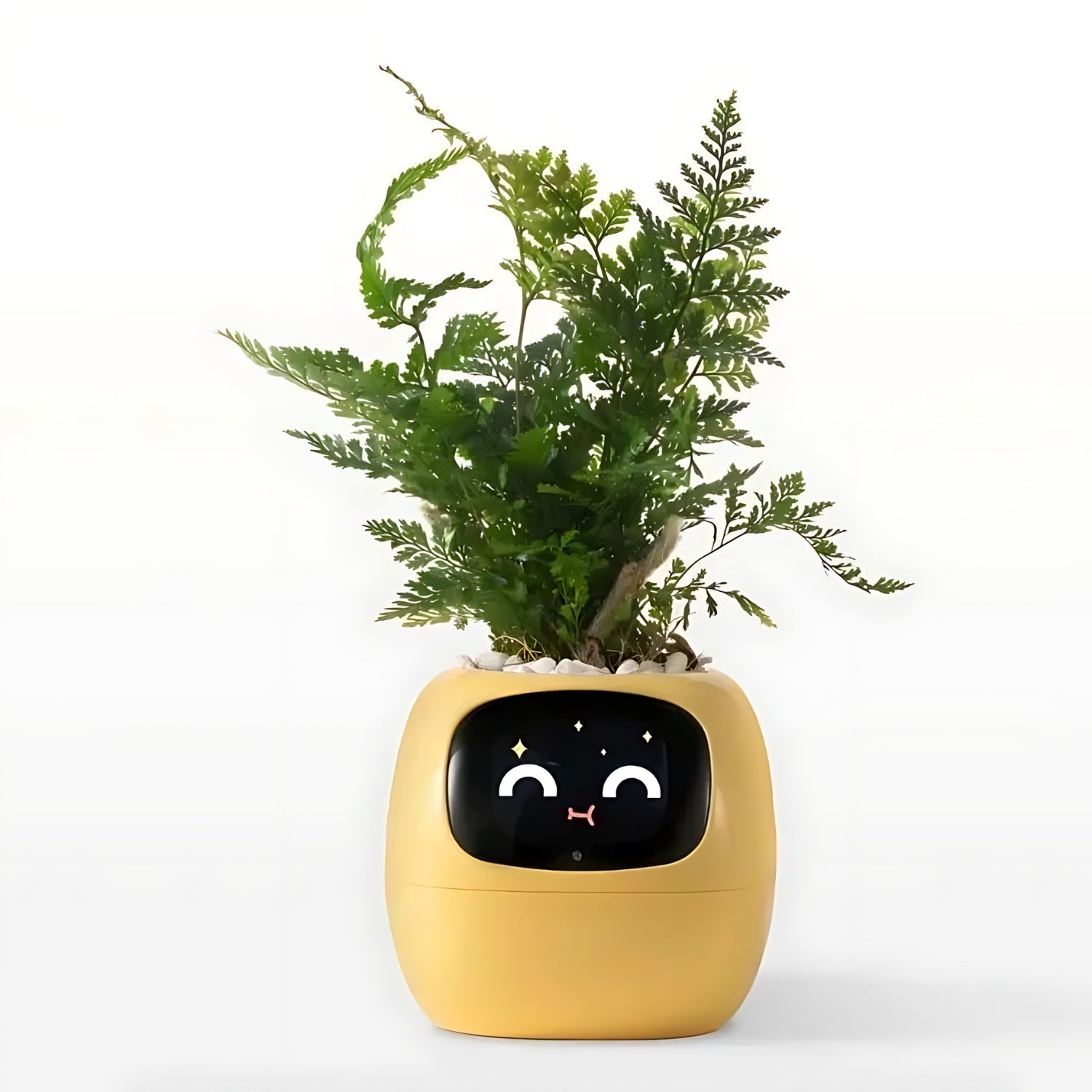 Automatic Smart Flowerpot with Emoji Display