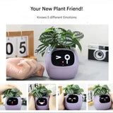Automatic Smart Flowerpot with Emoji Display