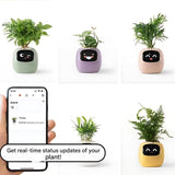 Automatic Smart Flowerpot with Emoji Display