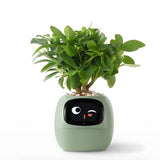 Automatic Smart Flowerpot with Emoji Display