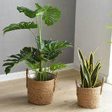 Braided Woven Flower Pot Set with Handles