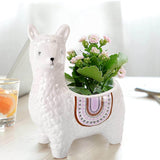 Ceramic Alpaca Flower Pot Decorative Design