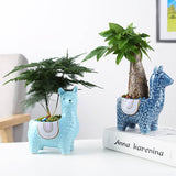 Ceramic Alpaca Flower Pot Decorative Design