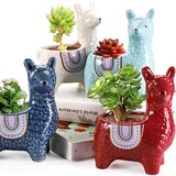 Ceramic Alpaca Flower Pot Decorative Design