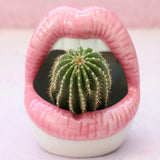 Ceramic Lips Flower Pot Decorative Sculpted