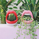 Ceramic Lips Flower Pot Decorative Sculpted