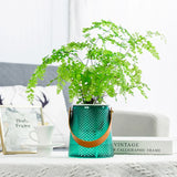Clear Self Watering Planter with Carry Handle