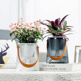 Clear Self Watering Planter with Carry Handle