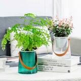 Clear Self Watering Planter with Carry Handle