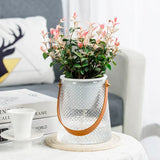 Clear Self Watering Planter with Carry Handle