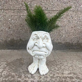Decorative Funny Face Resin Succulent Planter