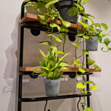 Decorative Metal Hanging Planter with Bucket