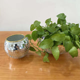 Disco Ball Hanging Planter with Mirror Finish