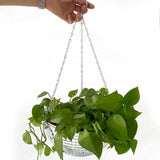 Disco Ball Hanging Planter with Mirror Finish