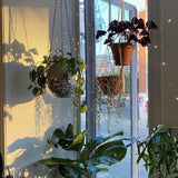 Disco Ball Hanging Planter with Mirror Finish
