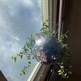 Disco Ball Hanging Planter with Mirror Finish