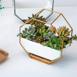 Geometric Metal Flower Pot Octagonal Frame