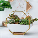 Geometric Metal Flower Pot Octagonal Frame