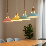 Industrial Metal Dome LED Pendant Light