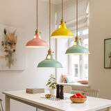 Industrial Metal Dome LED Pendant Light