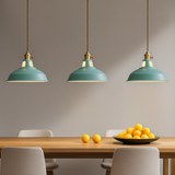 Industrial Metal Dome LED Pendant Light