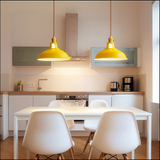 Industrial Metal Dome LED Pendant Light