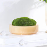 Marble Round Moss Planter with Smooth Stone