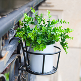 Metal Hanging Plant Basket with Double Hook