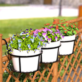 Metal Hanging Plant Basket with Double Hook
