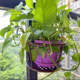 Metal Railing Flower Pot Holder Set with Rail