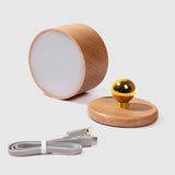 Minimalist Wooden LED Wall Sconce Lamp