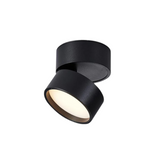 Modern Aluminum Adjustable LED Ceiling Light