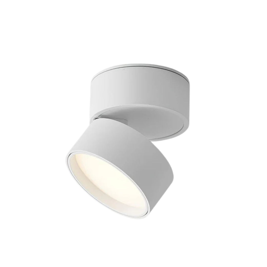 Modern Aluminum Adjustable LED Ceiling Light