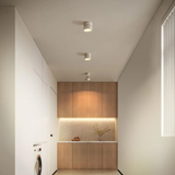 Modern Aluminum Adjustable LED Ceiling Light