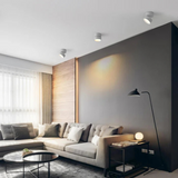Modern Aluminum Adjustable LED Ceiling Light