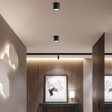 Modern Aluminum Adjustable LED Ceiling Light