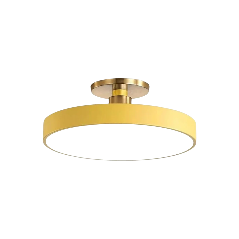 Modern Brass Round LED Ceiling Light