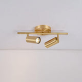 Modern Brass Wall Spotlight with Double Head