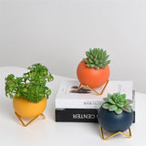 Modern Ceramic Flower Pot with Metal Stand