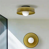 Modern Glass Disc Wall and Ceiling Light