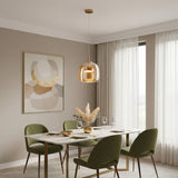 Modern Glass Dome Pendant Light Fixture