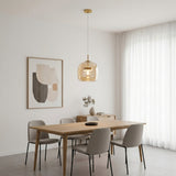 Modern Glass Dome Pendant Light Fixture