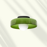 Modern Glass LED Ceiling and Wall Light Dimmable