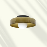 Modern Glass LED Ceiling and Wall Light Dimmable